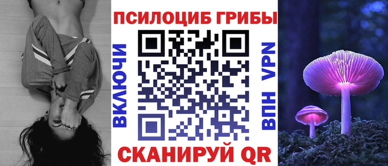 Псилоцибиновые грибы Cubensis  Купить где  Воркута 